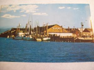 Lazio Fish Co, Cannery, Eureka, CA