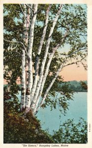 Vintage Postcard Six Sisters River View Rangeley Lakes Maine The Kodak Shop Pub.