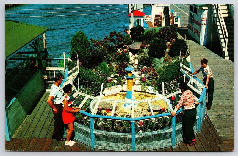 1960 Wishing Well Atlantic City New Jersey NJ Inlet Fishing Pier Posted Postcard