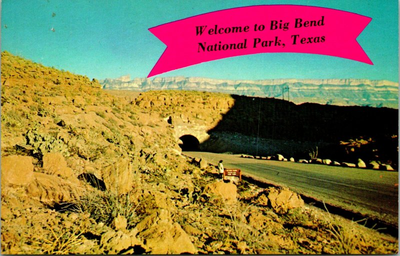 Big Bend National Park TX Tunnel Mission 66 Postcard unused (23246)
