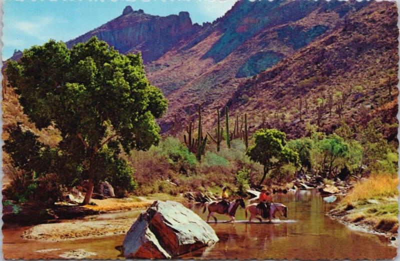 Sabino Canyon Arizona AZ Man Woman Horseback Catalina Mtns Unused Postcard D44