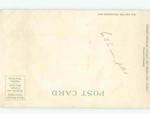 Pre-Linen Close Up CUTE KITTEN CAT AC5449