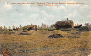 Timothy And Red Clovers Field Homewood Farm Ipswich, South Dakota USA PU Unkn...