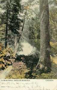 Forest Vista Muskoka Canada Vintage Canadian Souvenir Postcard
