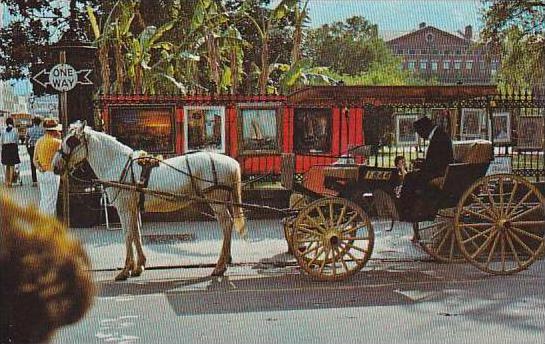 Louisiana New Orleans French Quarter Sightseeing Carriage