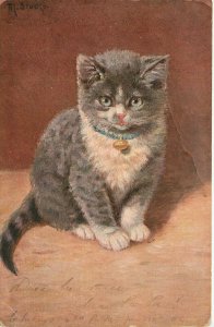 Cat Postcard S/A M. Stocks Gray Tabby Kitten Series 327