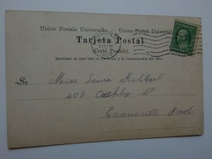 Vintage 1900s Foliage Along Chagres River Panama Postcard