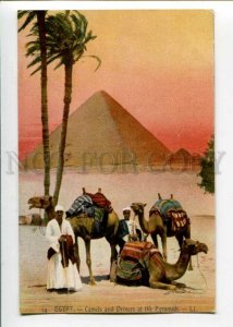 3099091 EGYPT Camels and Drivers at the Pyramids Vintage PC