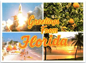 VINTAGE CONTINENTAL SIZE POSTCARD COLORFUL SCENES FROM TROPICAL FLORIDA