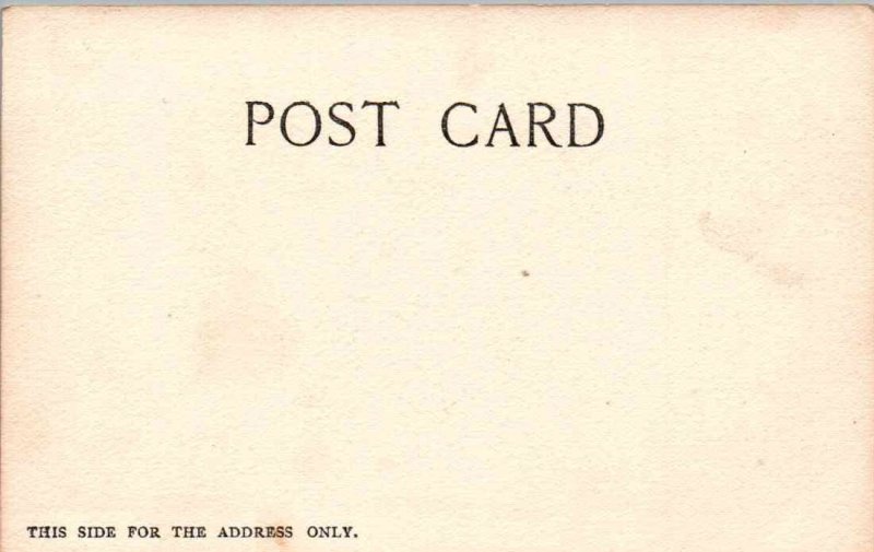 Santa Barbara, California - A Miramar near Santa Barbara - c1905