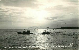 Pensacola Florida Feeding Gulls Bay B-11 1940s RPPC Photo Postcard 21-8579