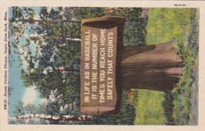 Minneapolis Itasca State Park Rustic Outdoor Plaque Curteich