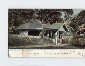 Postcard Lithia Spring, Waukesha, Wisconsin