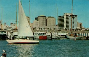 USA Yacht Basin Corpus Christi Texas Chrome Postcard 08.76