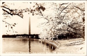 RPPC Washington Monument and Cherry Blossoms Postcard Z14