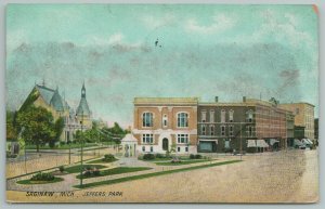 Saginaw Michigan~Jeffers Park And Drinking Fountain~c1918 Vintage Postcard