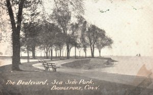 Vintage Postcard Boulevard Seaside Park Recreation Area Bridgeport Connecticut