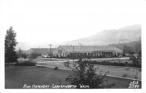 RPPC Fish Hatchery, Leavenworth, Washington Ellis #2580 c1950s Vintage Postcard