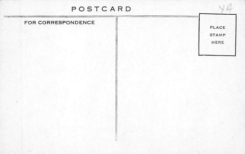 Pigs Greetings from, Iowa Postcard