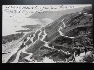 Yorkshire: Scarborough, Holbeck Garden c1905