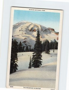 Postcard The Mountain In Winter, Rainier National Park, Washington