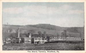 Westfield Pennsylvania The Eberle Tannery, Sky Tinted, Vintage Postcard U11953