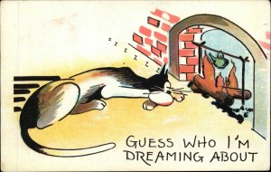 Comical Cats No. 692 Dreaming Cat by Fire c1910 Vintage Postcard