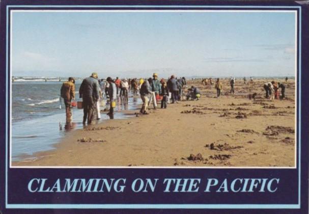 Clamming On The Pacific Washington & Oregon Coast