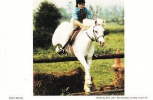 Colney Heath Horse Pony Riding Jumping Hertfordshire Womens Institute Postcard