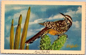Postcard AZ State Bird Cactus Wren by Ken Haag