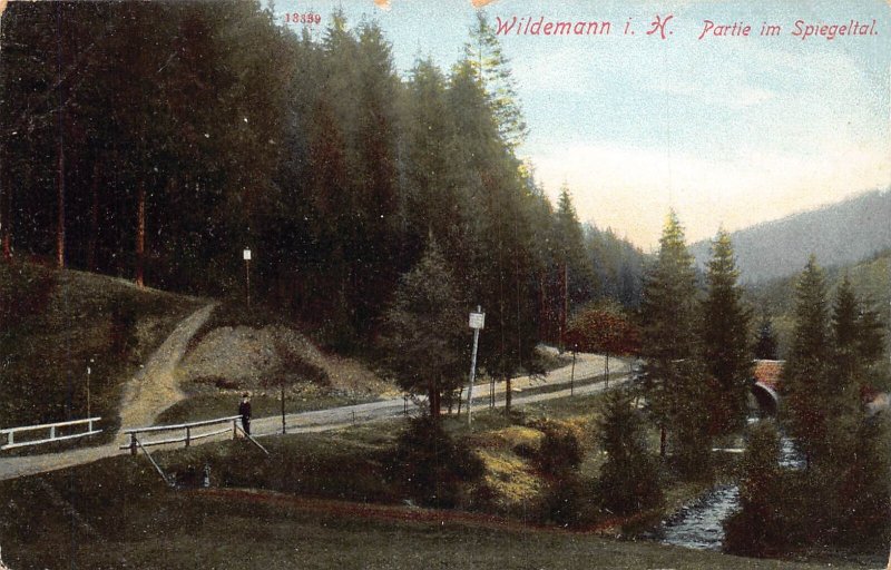 Germany Wildemann i H Partie im Spiegeltal vintage postcard