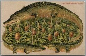 PINEAPPLE GROVE FL ALLIGATOR BORDERS ANTIQUE POSTCARD