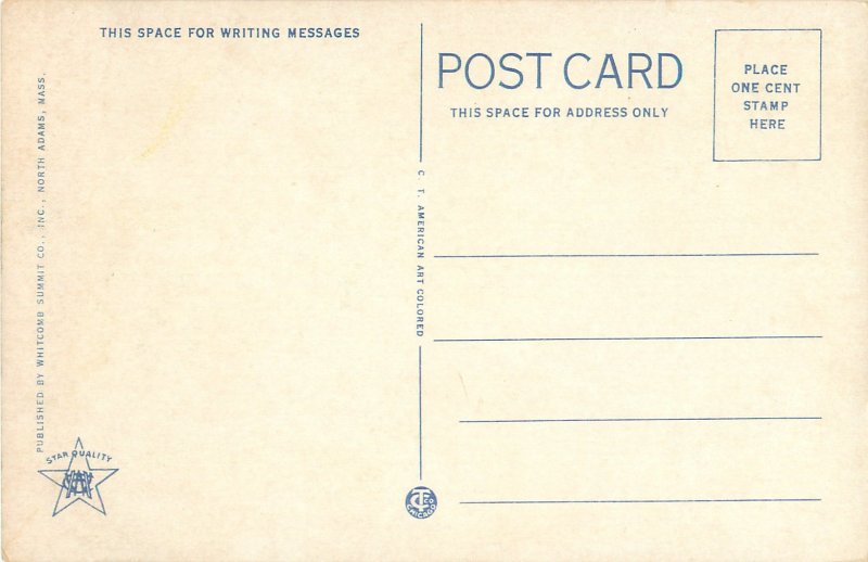 Hairpin Turn, Mohawk Trail, MA Vintage Postcard