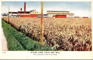 Texas Typical Sugar Cane Field and Mill 1912