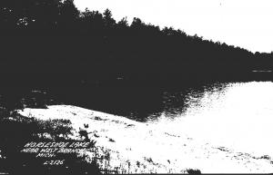 Michigan West Branch Horseshoe Lake 1953 Real Photo