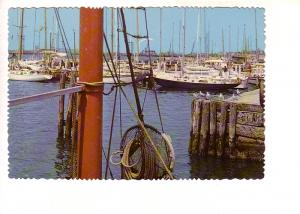 Boats at The Fish Company Wharves,  Newport Harbor Contrast, Rhode Island