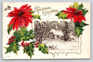 1906  Christmas Xmas Greetings   Postcard