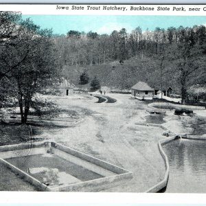 c1910s Oelwein, IA Iowa State Trout Hatchery Backbone State Park Postcard A119