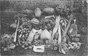 Lot335 ceylon fruits sri lanka types folklore