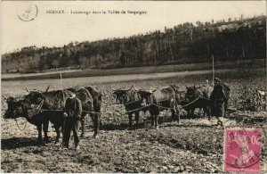 CPA BERNAY Labourage dans la Vallée de Serquigny (809626)