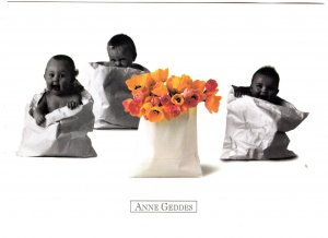 Anne Geddes 1997, Photo Three Babies Paper Bags, Tulips Photography