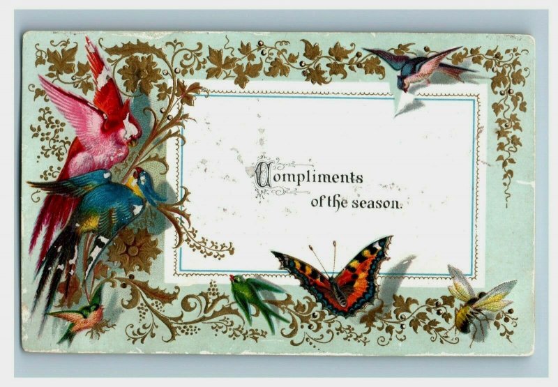 1870's-80's Embossed Holiday Cards Exotic Colorful Birds Lot Of 4 P198