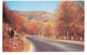 Virginia Natural Bridge and Hwy 211 Shenandoah National Park VA Vintage Postcard