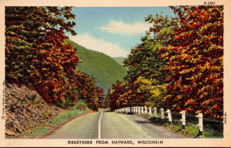 Wisconsin Greetings From Hayward Curteich