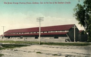 c. 1910 Drake Packing House Lindsay CA Hand Colored Postcard F65