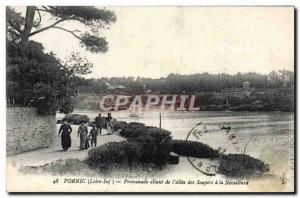 Postcard Ancient Pornic Walk ranging from & # 39allee sighs has Noveillard