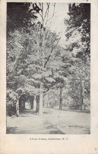 AMSTERDAM NEW YORK NY~LOCUST AVENUE~1910 POSTMARK POSTCARD