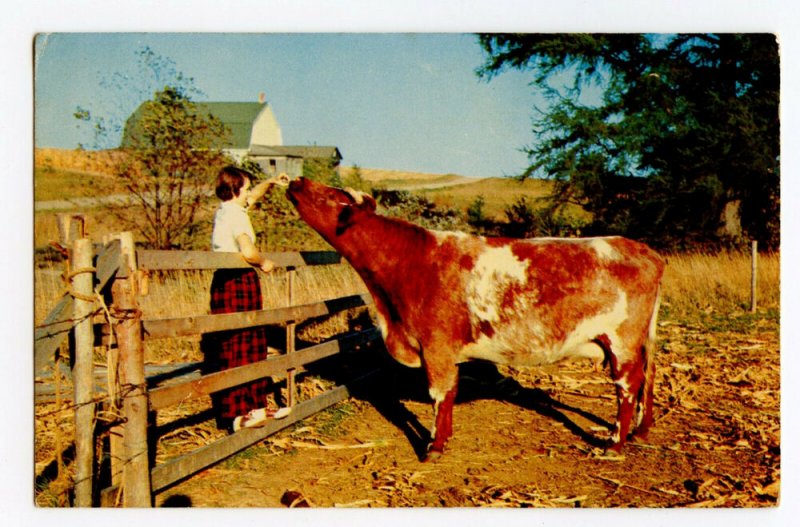 Postcard Greetings From Haigler Nebr. Nebraska Standard View Card