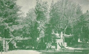 Santa Cruz Co MOUNT HERMON CA Christian Conference Grounds 1946 Vintage Postcard