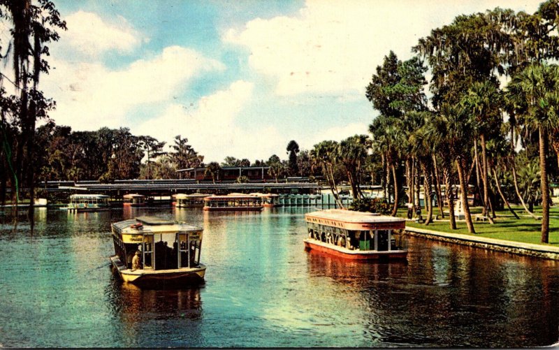 Florida Silver Springs Glass Bottom Boats 1968